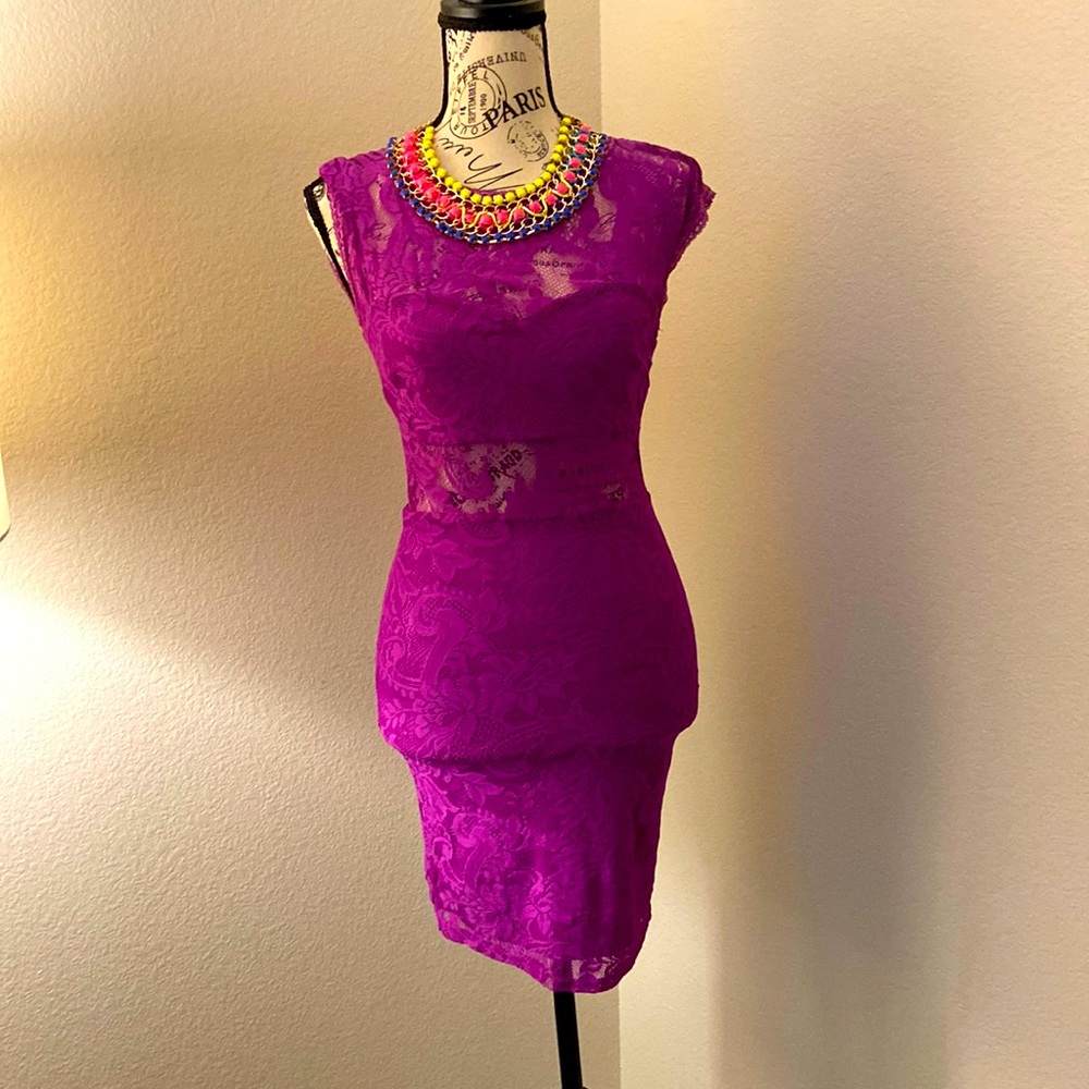 Size small pink owl lace mini dress. NWOT
